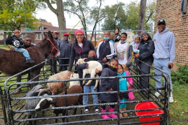 Neighbors come together for a petting zoo experience 