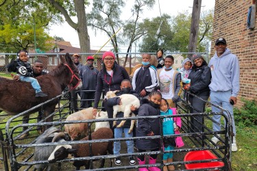 Community members come together for a petting zoo experience, building connections and having fun