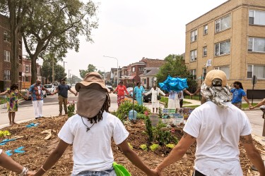 Group of people holding hands around a traffic circle garden